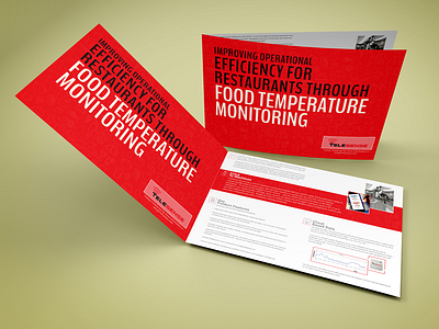 Telesence Corporate Brochure branding brochure flyer leaflet marketing print red stationary