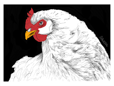 La gallina illustration ipad pencil procreate