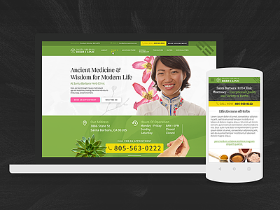 Traditional Medicine - Website Design acupuncture chinese medicine clinic website herb clinic herbal medicine interface design needle therapy traditional medicine ui design web design website design