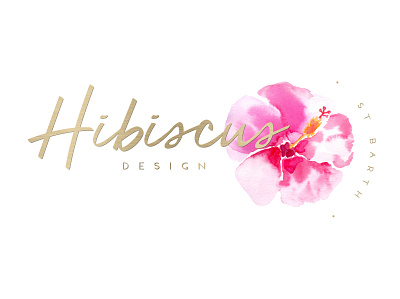 Hibiscus Design // Illustration & Branding branding design graphic design illustration logo