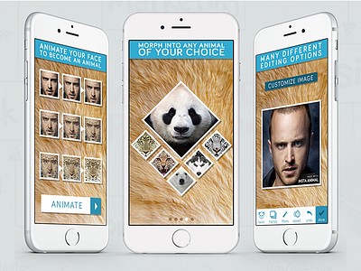 Insta Animal android ios ui ux web