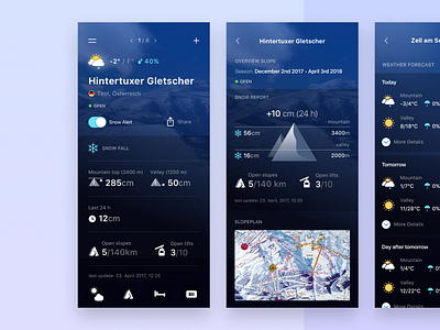 Weather And Ski App - Case Study android app clean app graphics ios minimal design mountain profile ski ui user interface ux weather app
