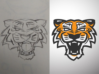 Tiger Sketch to Vector animals before and after cat kitty orange roar sketch teeth tiger tigers vector