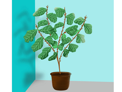 Fig tree in a room illustration plant scene tree