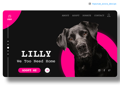 Dog Adoption website app design illustration ui