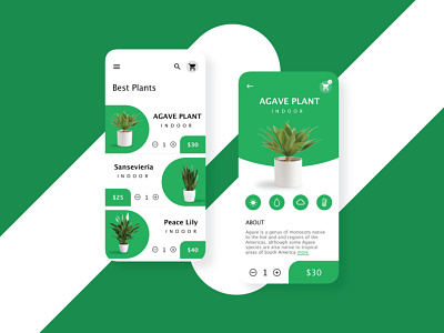 plant app app branding clean design illustration illustrator typography ui ux vector web website