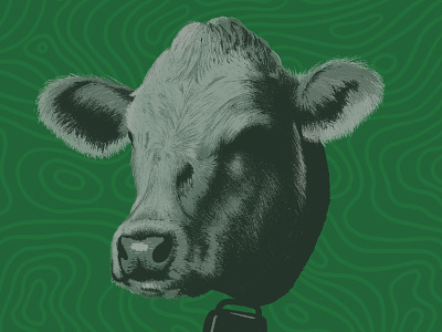 Irish Cow animal art beer art cow craft beer art drawing illustration irish cow st. patricks day
