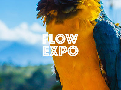 Flow Expo branding design id card illustration logo poster student ticket