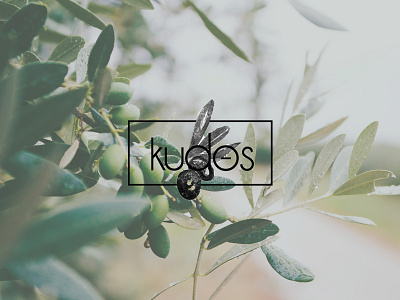 Kudos Olive Oil dallas logo packaging design product design student