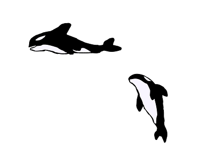 ORCAS