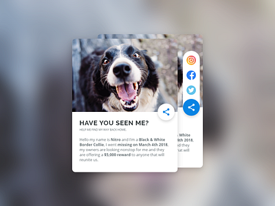 Daily UI Challenge 010 - Social Share daily 100 daily 100 challenge design social social share ui ui 100 ui 100day ui ux ux