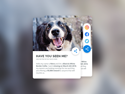 Daily UI Challenge 010 - Social Share