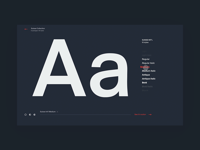 Style Switcher for Type Specimen