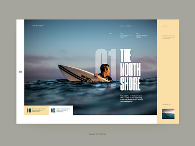 The North Shore clean layout minimal ocean surf type typography ui web website
