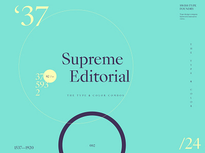 Type & Color — 007 / 01 clean layout minimal simple type typography web website