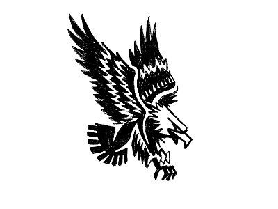 Bald WIP eagle illustration rough sketch tattoo