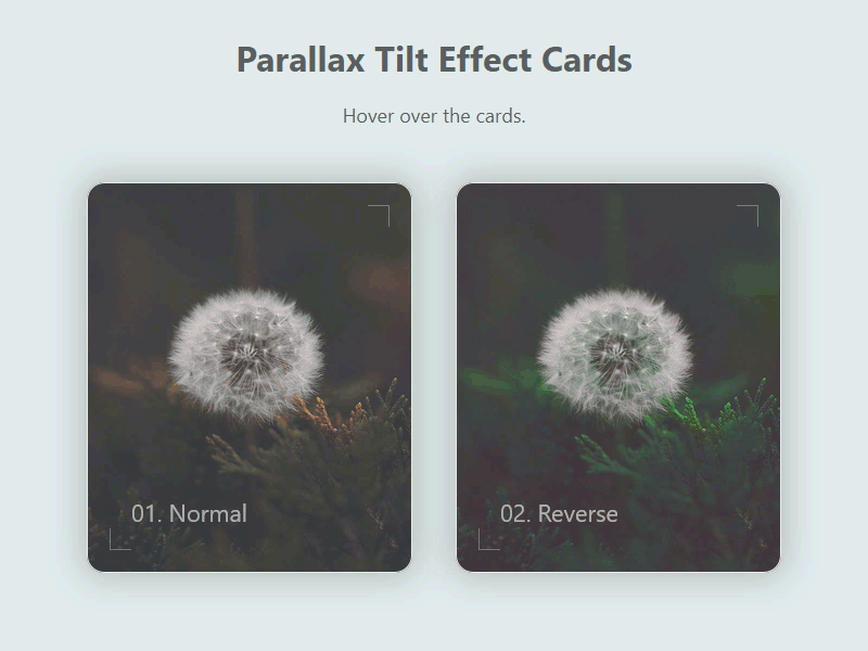 Parallax tilt effect cards card cards javascript parallax tilt effect ui user interface (ui) web