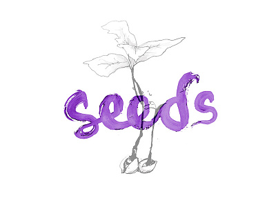 'Seeds' Hand Lettering + Process handlettering handpainted process