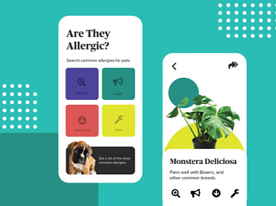 Monstera Deliciosa app app design