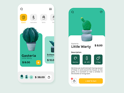 Cactus Plant - Cactus Shopping App 🌵