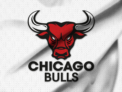 Play with the Chicago Bulls logo basketball branding chicago bulls logo re-design sport