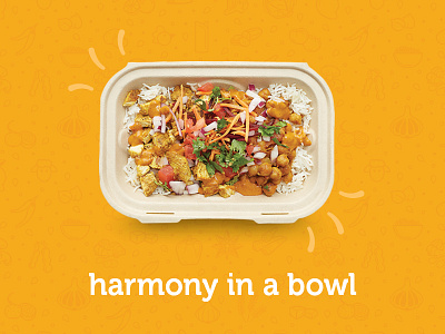 harmony in a bowl 2d bowl color design flat food fun happy harmony icon
