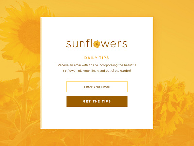 Sunflowers - Daily Tips dailyui email modal photo sign up sunflower ui yellow