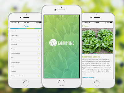 Grow vegetables with ease alpha app garden mobile