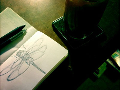 Dragonfly Sketch dragonfly sketch sketchbook