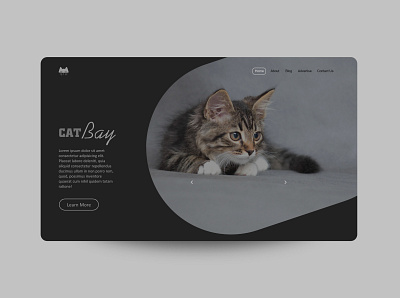 Cat Bay creative design design ui uidesign