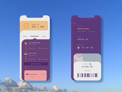 Airplane tickets app dailyui design illustration tickets ui ux web web design webdesign