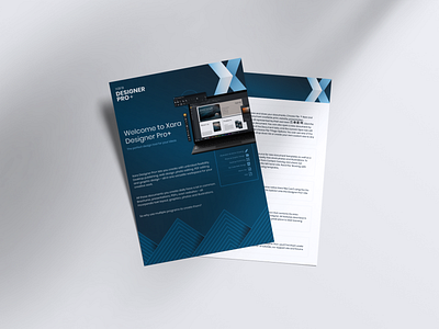 Software Product Sheet application blue branding design graphic design illustration product sheet software vector