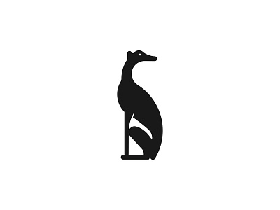 Greyhound Logo animal breed dog dog logo greyhound icon identity logo logotype mark monogram running sport symbol
