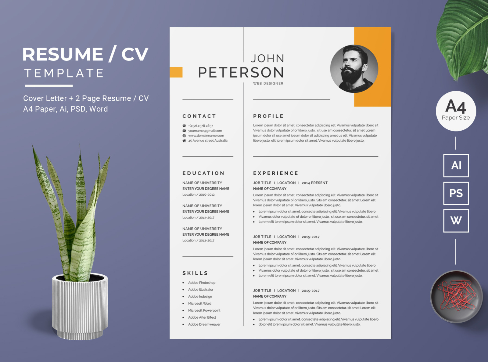 Resume/CV Template-02 by BdThemes on Dribbble