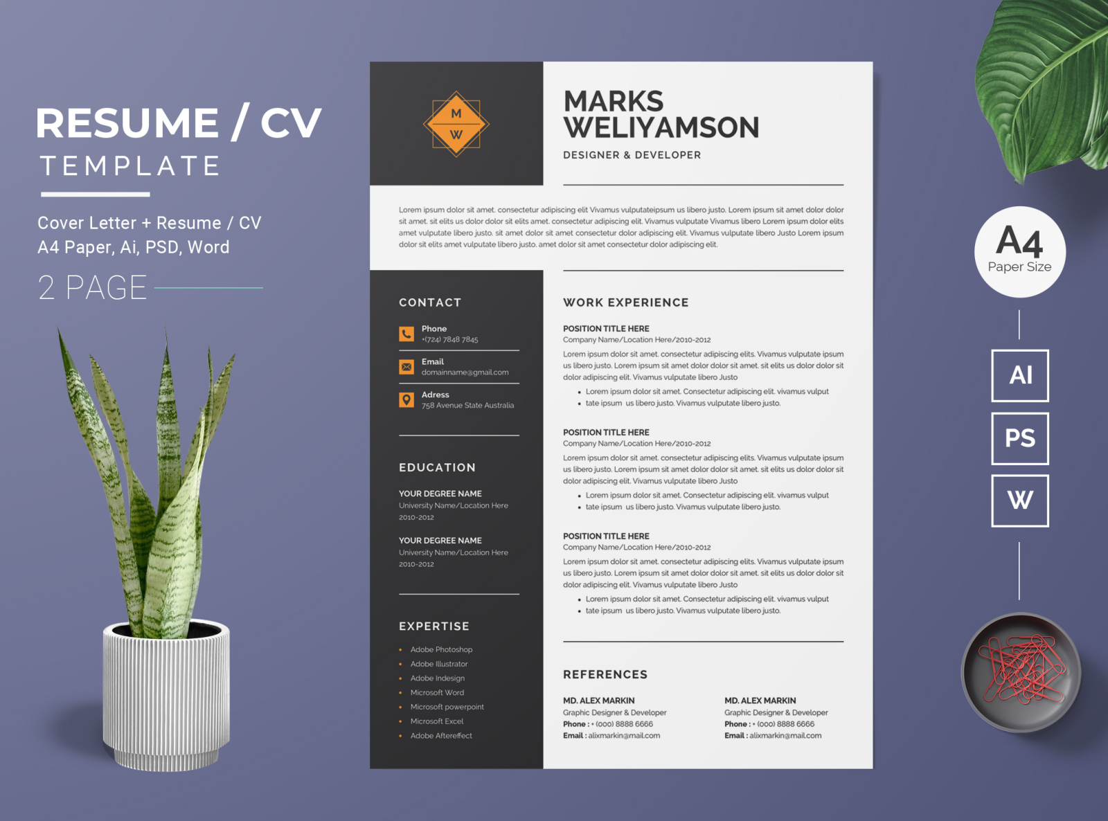 Resume/CV Template-27 by BdThemes on Dribbble