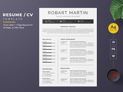 Modern Resume-11