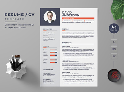 Modern Resume-23 cv modern design professional design resume