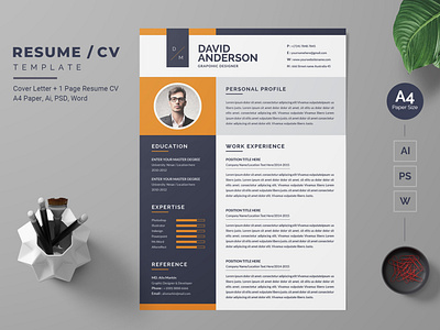 Modern Resume-26 cv modern design professional design resume