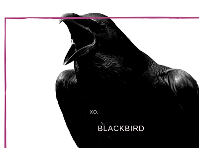 XO, Blackbird apple music collage cover art design