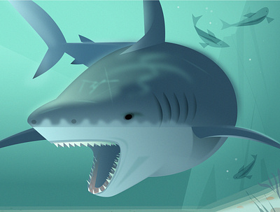 The Bull Shark illustration kids book sharks vector
