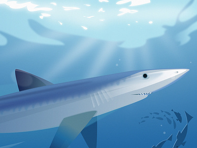 The Blue Shark