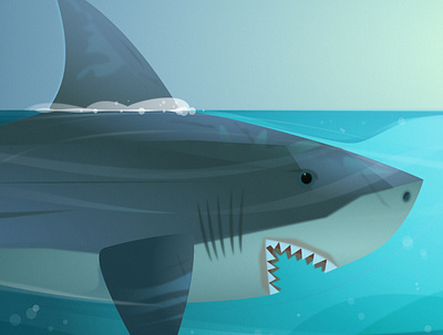 The Great White illustration kids book sharks vector