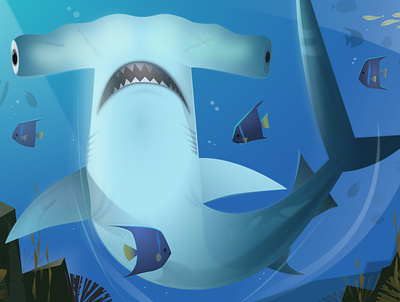 The Hammerhead illustration kids book sharks vector