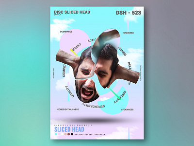 DISC Sliced Head