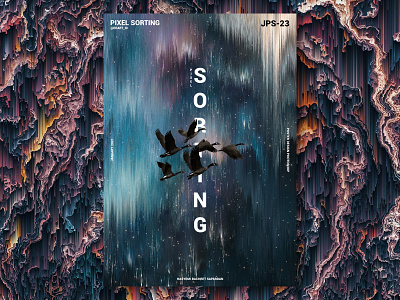 Pixel Sorting Bird Poster Design