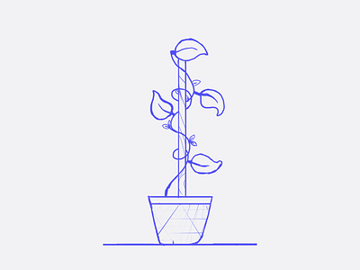 Plant decoration doodle illustration leaves plant sketch vase vine