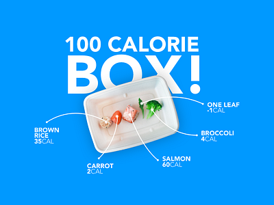 Introducing the 100 Calorie Box! april1 box broccoli carrot food leaf lines prank rice salmon ui ux