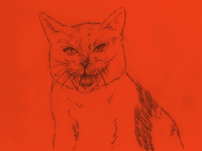 yAWn analog animation cat cats gif illustration kitty meow motion motion design pencil red