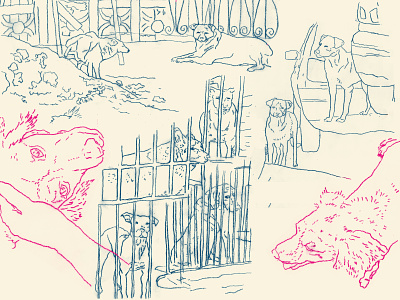 full illustrations for "dogs da vila são francisco" blue dog dogs drawing drawings illustration illustrations line art lineart linework outline outlines pink