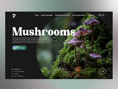 Mushroom Interactions anchor branding concept design daily ui dailyuichallenge icon interaction interaction design interface landing page landing page design landingpage logo typography ui ui ux ux ux ui ux design web design